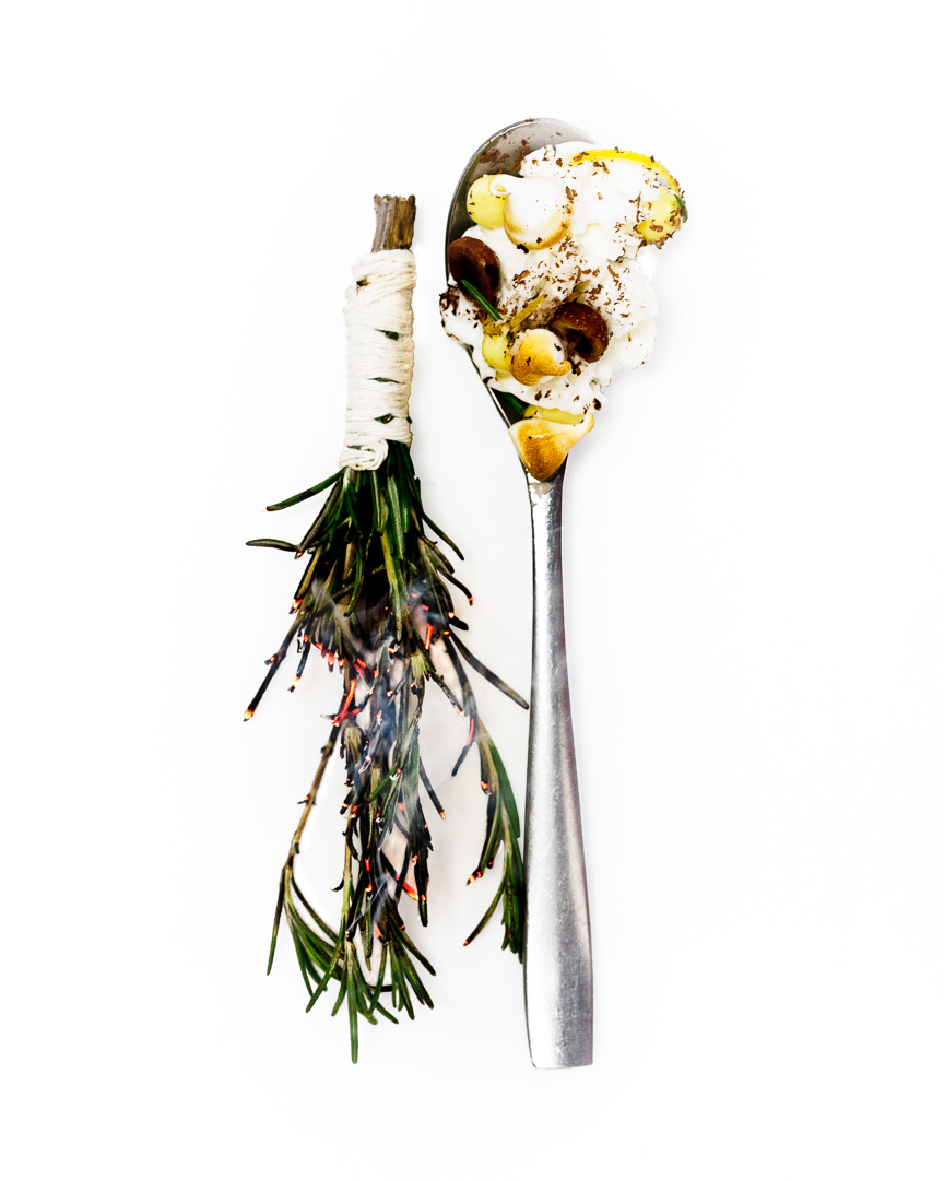Spoonfuls of Inspiration: Bob Truitt - Southern Tradition Spoonful portrait of Pastry Chef Bob Truitt featuring burning rosemary, roasted hazelnuts, and chocolate in a perfectly balanced spoon.