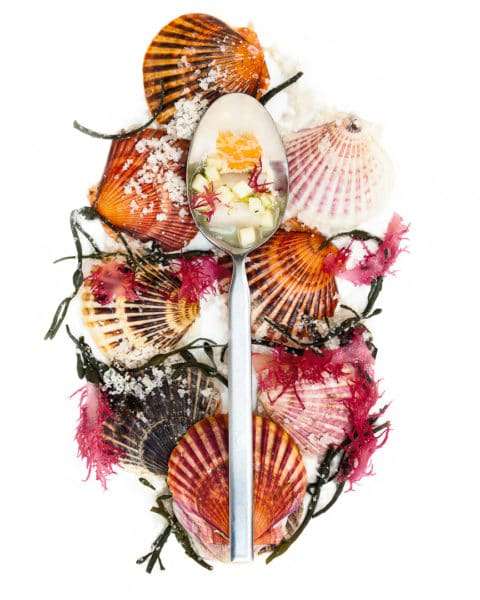 Spoonfuls of Inspiration: Hadley Schmitt - Creative Expression Spoonful portrait of Chef Hadley Schmitt titled Creative Expression, featuring bay scallops, seaweed, and uni with a green apple relish in a market-driven seasonal composition.