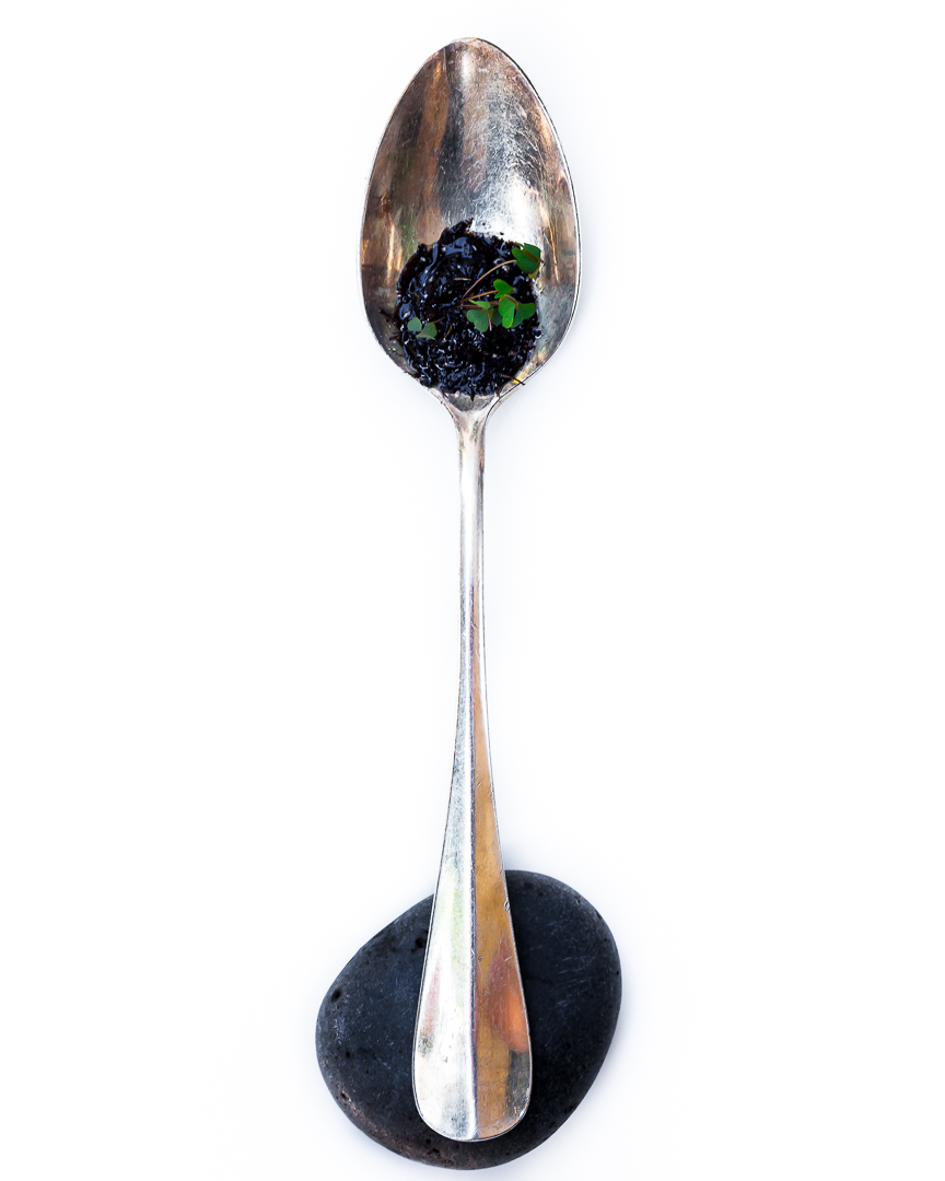 Spoonfuls of Inspiration: Matt Adolfi - Earth and Respect Spoonful portrait of Chef Matt Adolfi featuring soil, rock, and micro arugula with an elegant antique spoon.