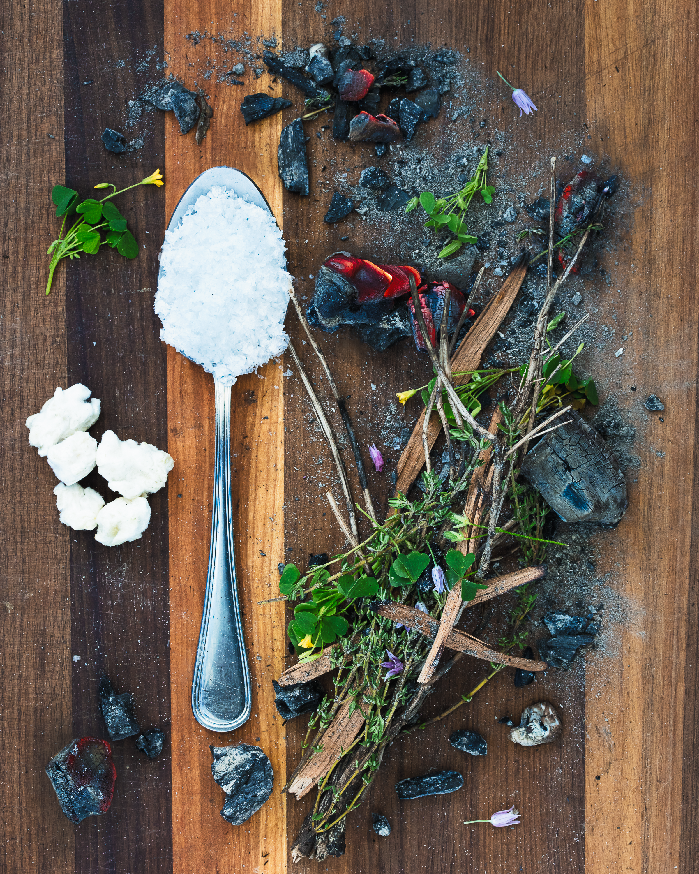 Spoonfuls of Inspiration: Michael Martello Jr. - Creative Memory Spoonful portrait of Chef Michael Martello Jr. featuring jasmine rice koji, hardwood charcoal, and ash in an ergonomic $3 corner shop spoon.