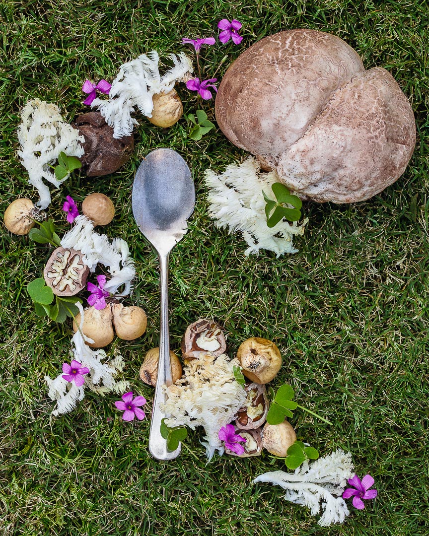 Spoonfuls of Inspiration: Ryan Smith - The Forager Spoonful portrait of Chef Ryan Smith featuring foraged mushrooms, hickory nuts, and sorrel in an interestingly shaped sentimental spoon.